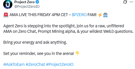 project zero ama