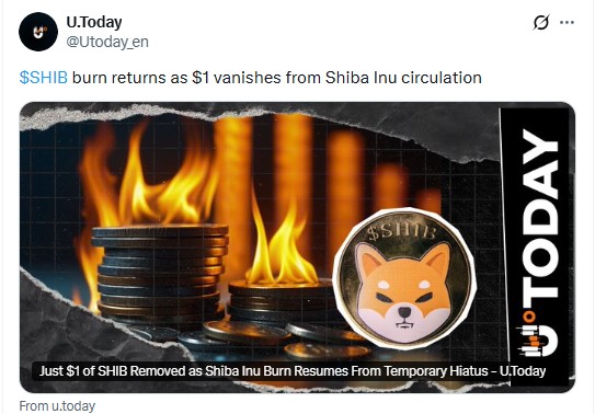 Shiba Inu price prediction 2040, Shiba Inu forecast, Shib price prediction