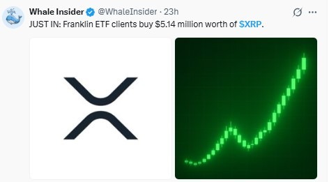 XRP News Today Analysis