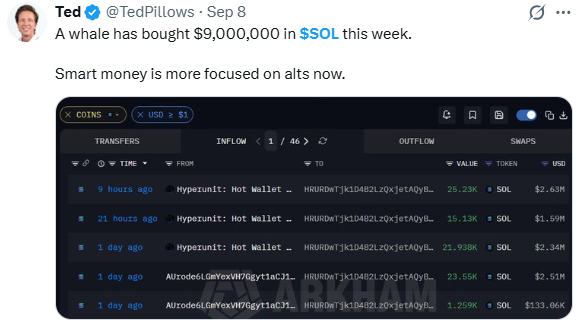SOL Price Prediction