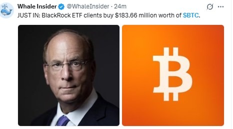 Bitcoin News Today