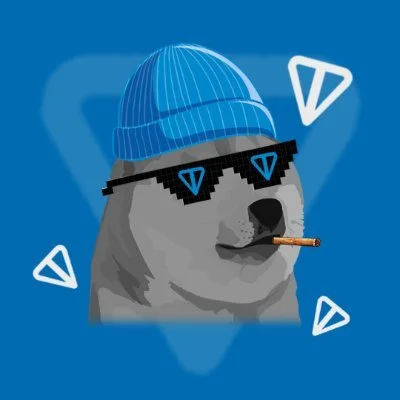 Doge ton chain Presale | Crypto memecoin project