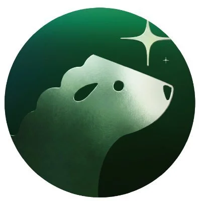 LAMB276 Presale Solana meme coin token launch overview