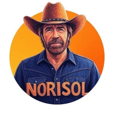 NORISOL Presale | Crypto Meme Coin project