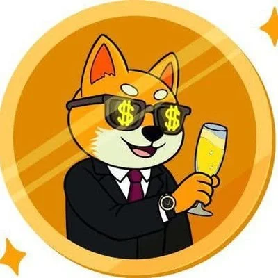Shibax Presale Meme Coin on Binance Smart Chain