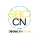 Sabacini Coin Presale gaming platform on BSC
