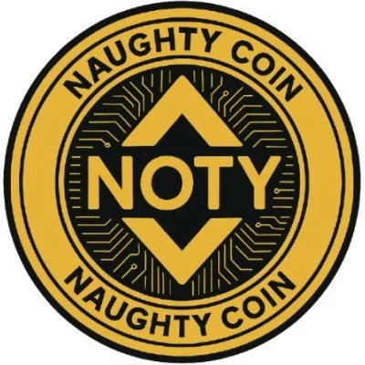 NAUGHTY COIN Presale DeFi Platform on Binance Smart Chain
